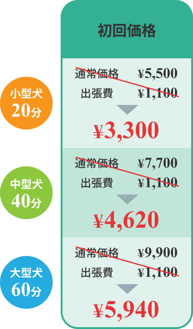 初回価格